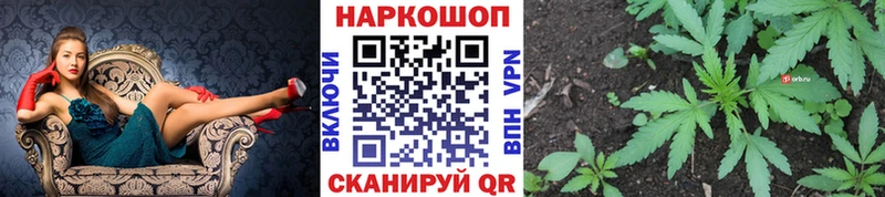  КОКАИН Бородино