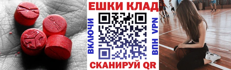 ЭКСТАЗИ TESLA Бородино
