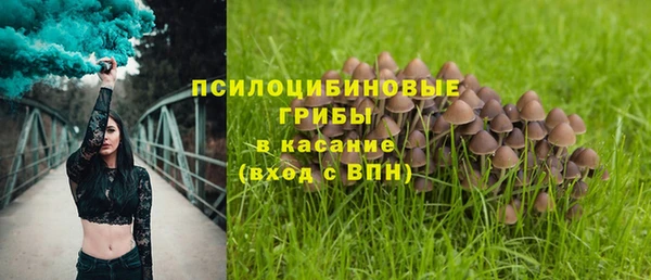 сатива Волосово